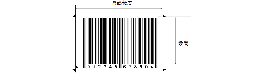 標準尺寸和放大倍數(shù)